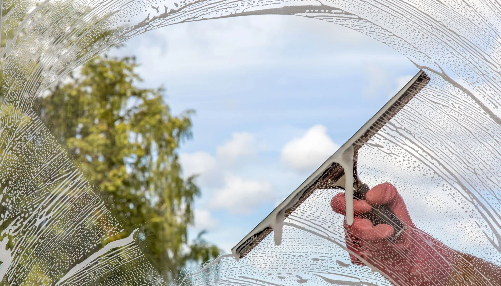 Hand i röd handske som drar en skrapa över ett såpigt fönster, med träd och blå himmel bakom glaset